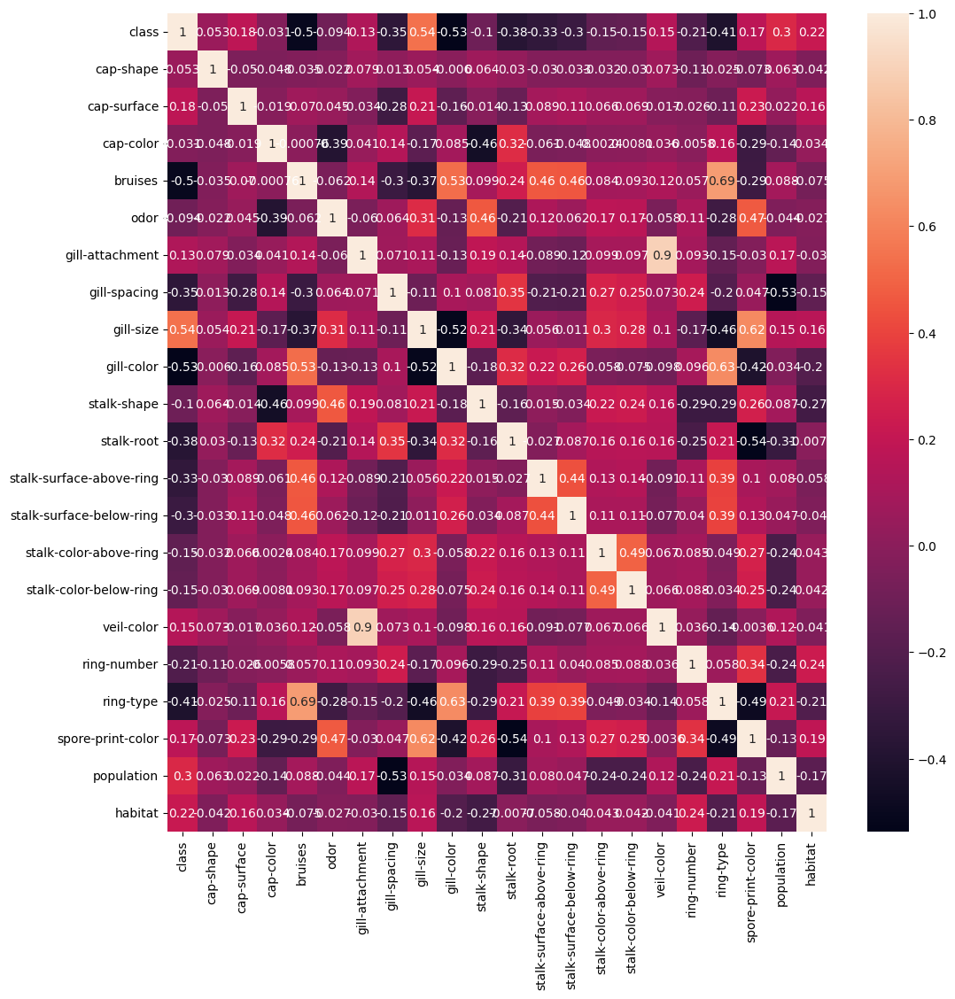 Correlation of various categorical Mushroom attributes